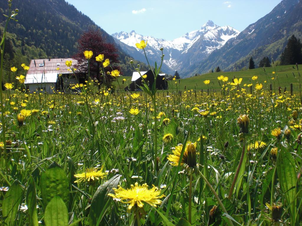 Haus Stein Apartment Oberstdorf Ngoại thất bức ảnh